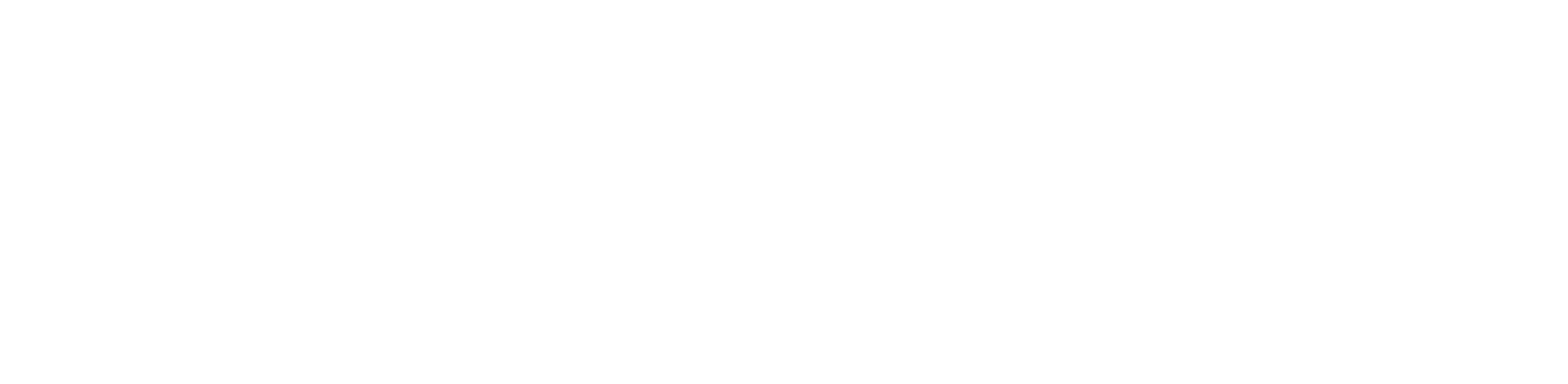 logo-white